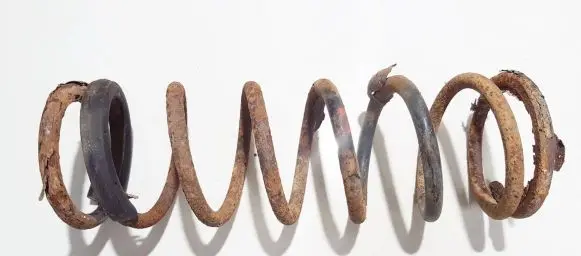 Ford Focus Rear coil spring