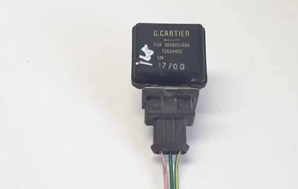 Citroen Xsara Picasso Coolant level sensor 9609955680 73504402