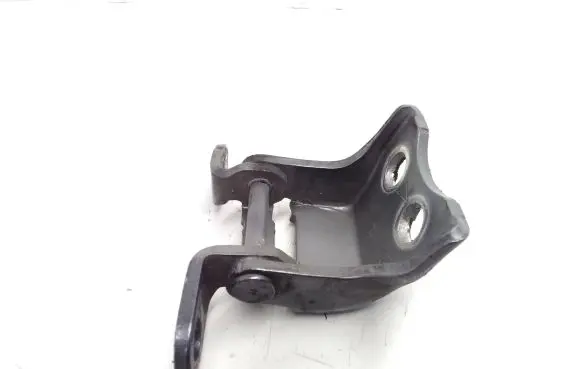 Honda Civic IX Front door lower hinge 