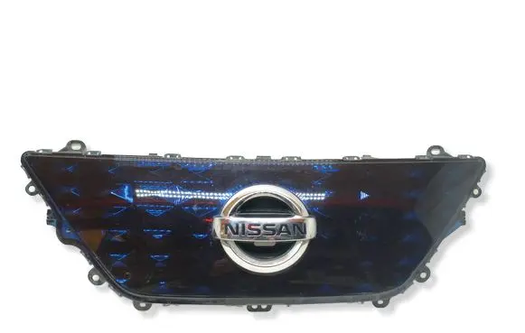 Nissan Leaf II (ZE1) Front bumper upper radiator grill 620725SK0D