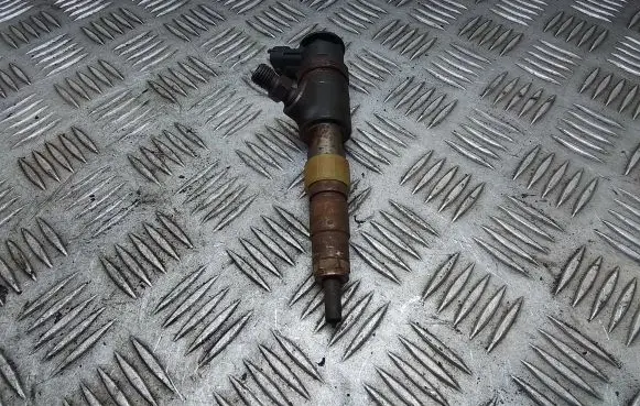 Citroen Berlingo Fuel injector 870692 0445110340