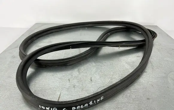 Hyundai Ioniq Trunk rubber seal (body) 