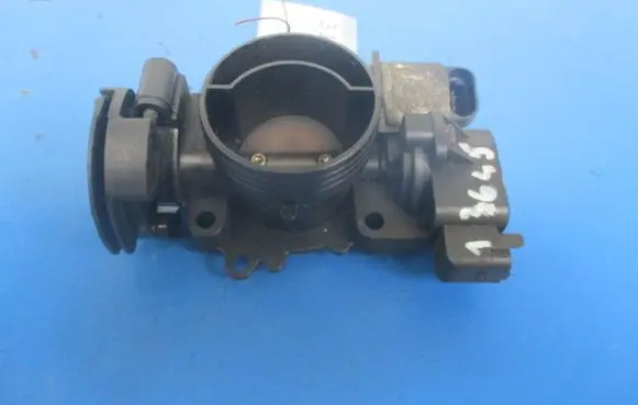 Citroen Xsara Picasso Throttle body valve 
