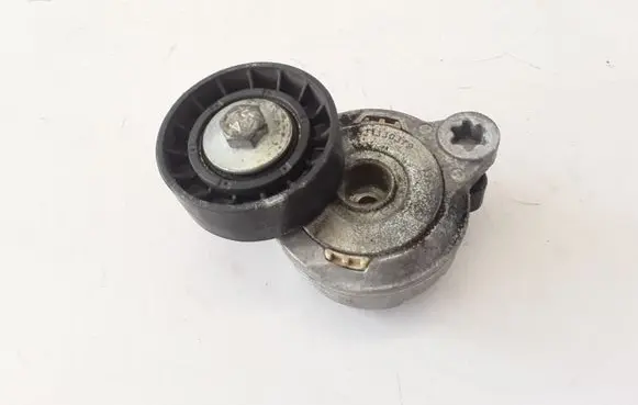 Volvo S80 Timing belt/chain tensioner 31330379