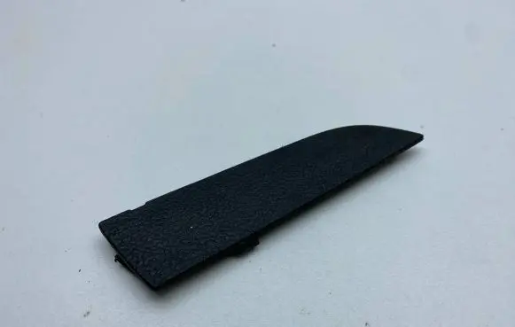 Dodge Charger Other front door trim element 1SE59TRMAA