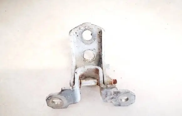 Renault Laguna III Rear door lower hinge