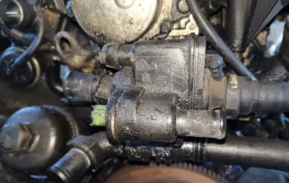 Peugeot 206 Engine coolant pipe/hose
