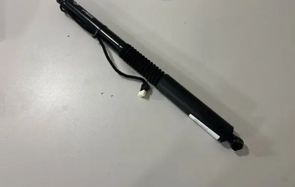 Tailgate/trunk strut/damper