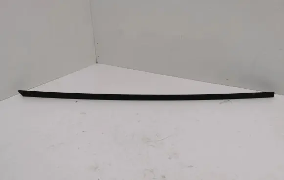 Skoda Octavia Mk4 Front door glass trim molding 5E3854327