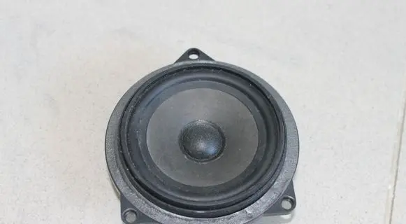 BMW 3 E90 E91 Front door speaker 65136970929 18820010