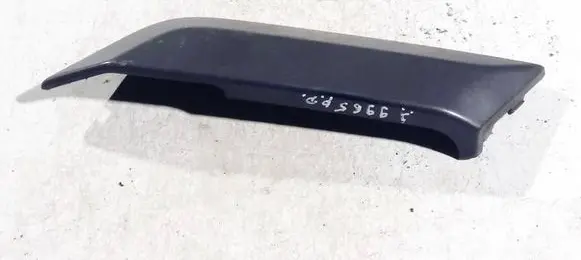 Other front door trim element