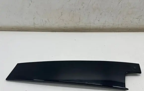 Renault Austral Front door glass trim molding 802849168R