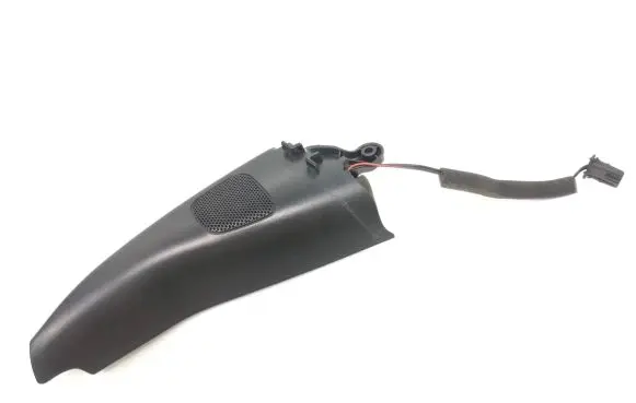 Front door high frequency speaker