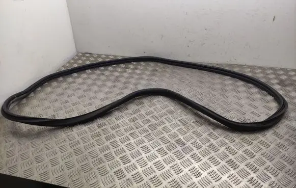 Trunk rubber seal (body)