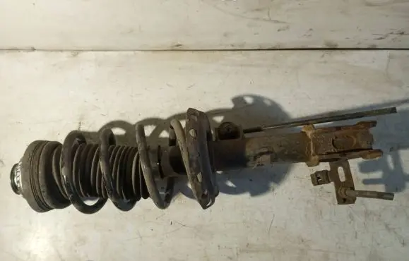 Opel Astra H Front shock absorber/damper 24466546