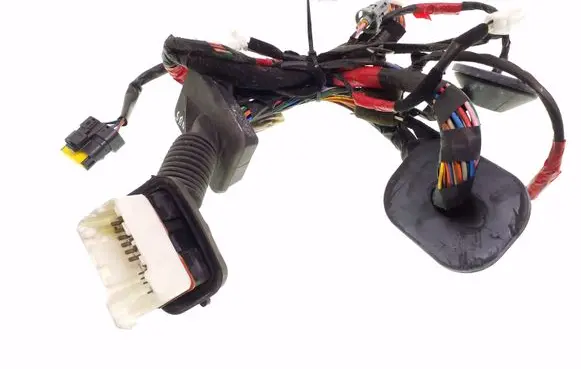 Hyundai Santa Fe Front door wiring loom