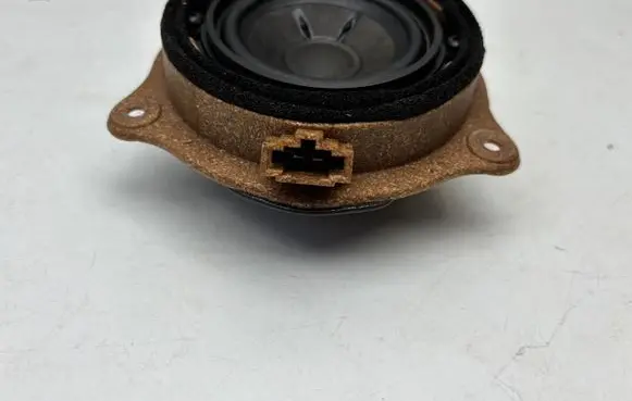 Front door speaker
