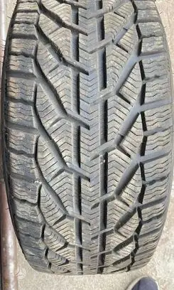 BMW 3 F30 F35 F31 R18 winter tire Orium