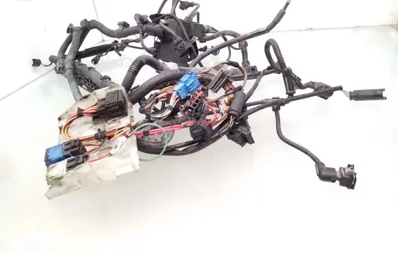 Engine installation wiring loom