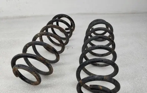 Rear coil spring