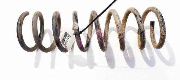 Ford C-MAX II Rear coil spring 