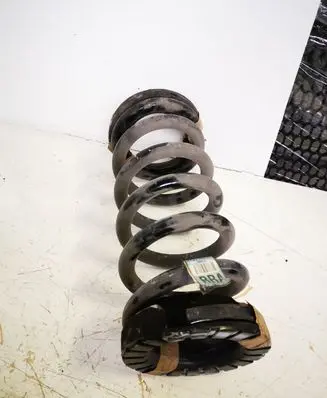 Ford Mustang VI Rear coil spring FRC5560AC