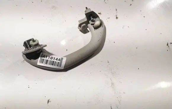 Volkswagen PASSAT B6 Rear interior roof grab handle 