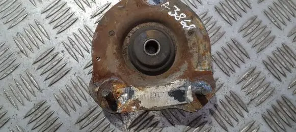 Coil spring mount