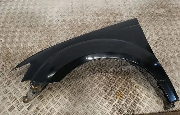 Fender