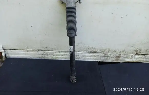 Tesla Model Y Rear shock absorber/damper 118846500E