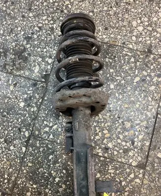 Opel Insignia A Front shock absorber/damper