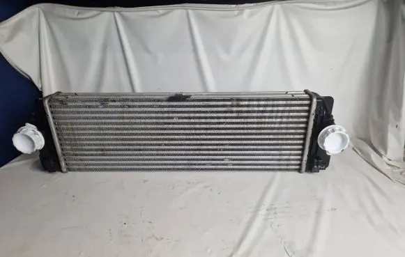 Mercedes-Benz Sprinter W906 Coolant radiator A9065010201