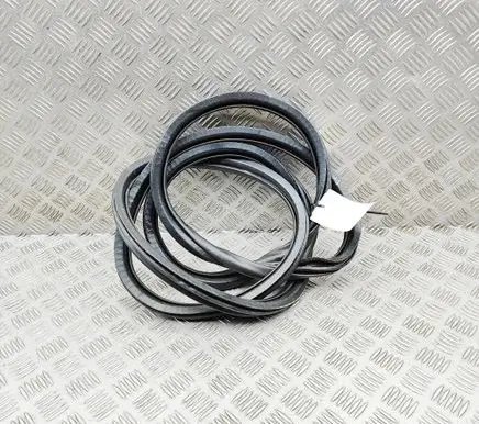 DS Automobiles 7 Crossback Rubber seal front coupe door 9811537480