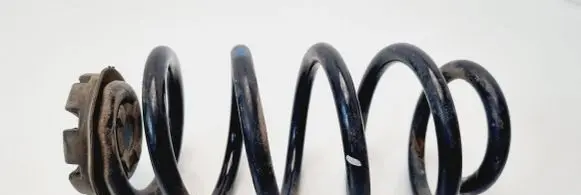 Renault Zoe Rear coil spring