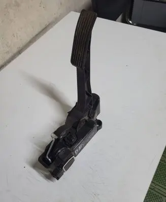 Mercedes-Benz B W245 Accelerator throttle pedal A1693000204