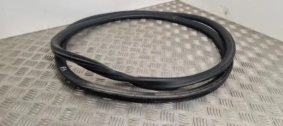 Peugeot Expert Front door rubber seal 