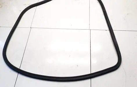 Opel Insignia A Rubber seal front coupe door 