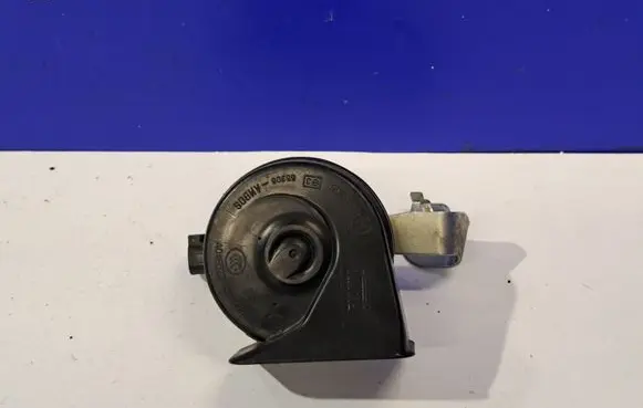 Horn signal