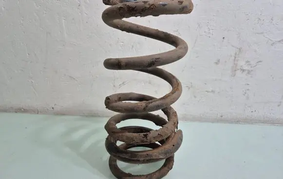 Mitsubishi Pajero Rear coil spring 