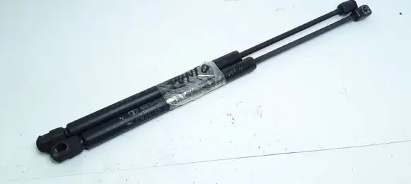 Fiat Punto (188) Tailgate/trunk strut/damper 7734566 3289AV0300N