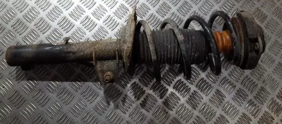 Volkswagen Golf V Front shock absorber/damper