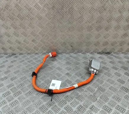 Toyota bZ4X Other wiring loom 821H2 821H242040