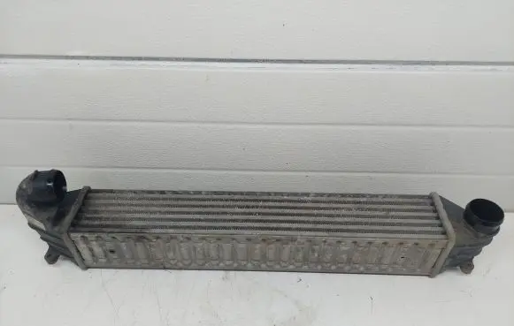Volkswagen Sharan Intercooler radiator 7M3145805 1710078