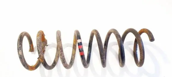 Rear coil spring