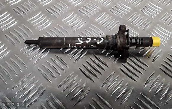 Citroen C5 Fuel injector 9656389980 ejbr03801d