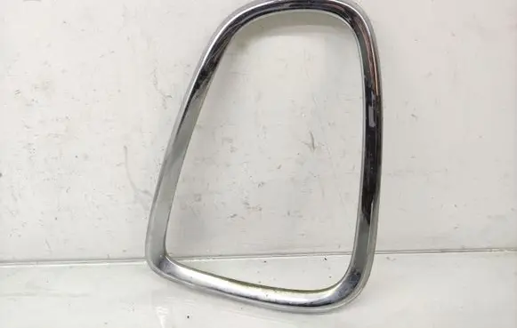 Rear/tail light trim molding