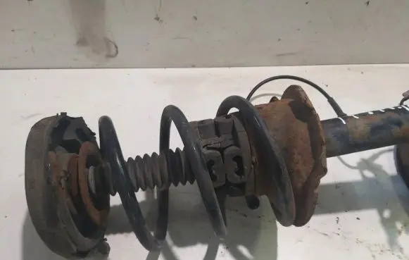 Renault Scenic I Front shock absorber/damper