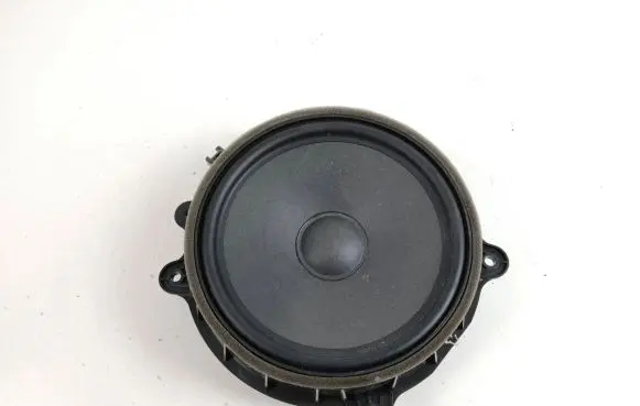 Tesla Model 3 Front door speaker 107974400E
