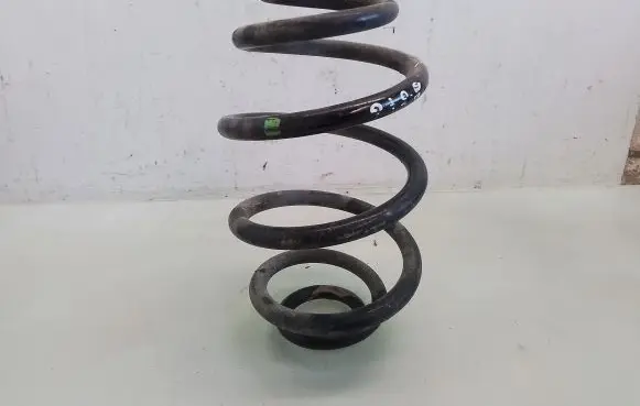 Volkswagen PASSAT B5 Rear coil spring