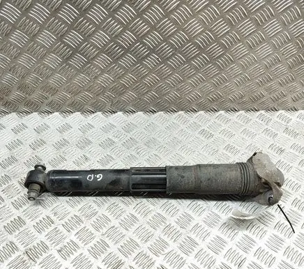 Volkswagen ID.4 Rear shock absorber/damper 1EA512013AS